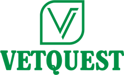 VetQuest